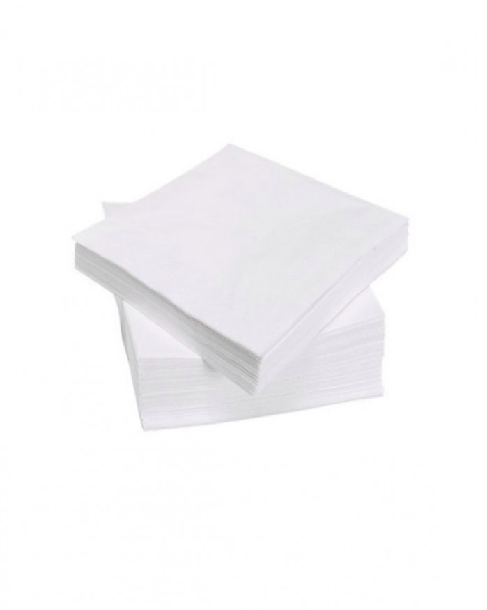 SERVIETTES EN PAPIER - PAPER TOWELS (PAR 100)