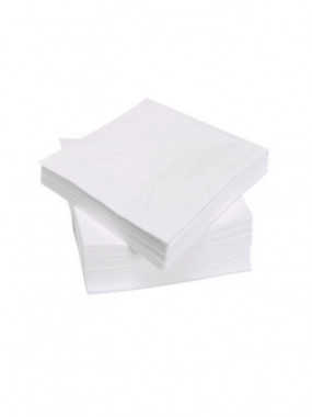 SERVIETTES EN PAPIER - PAPER TOWELS (PAR 100)